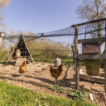 Gite Champetre Renove Avec Terrasse & Equipements, Proche Pornic - Animaux Acceptes - Fr-1-306-1027 Frossay Exterior foto